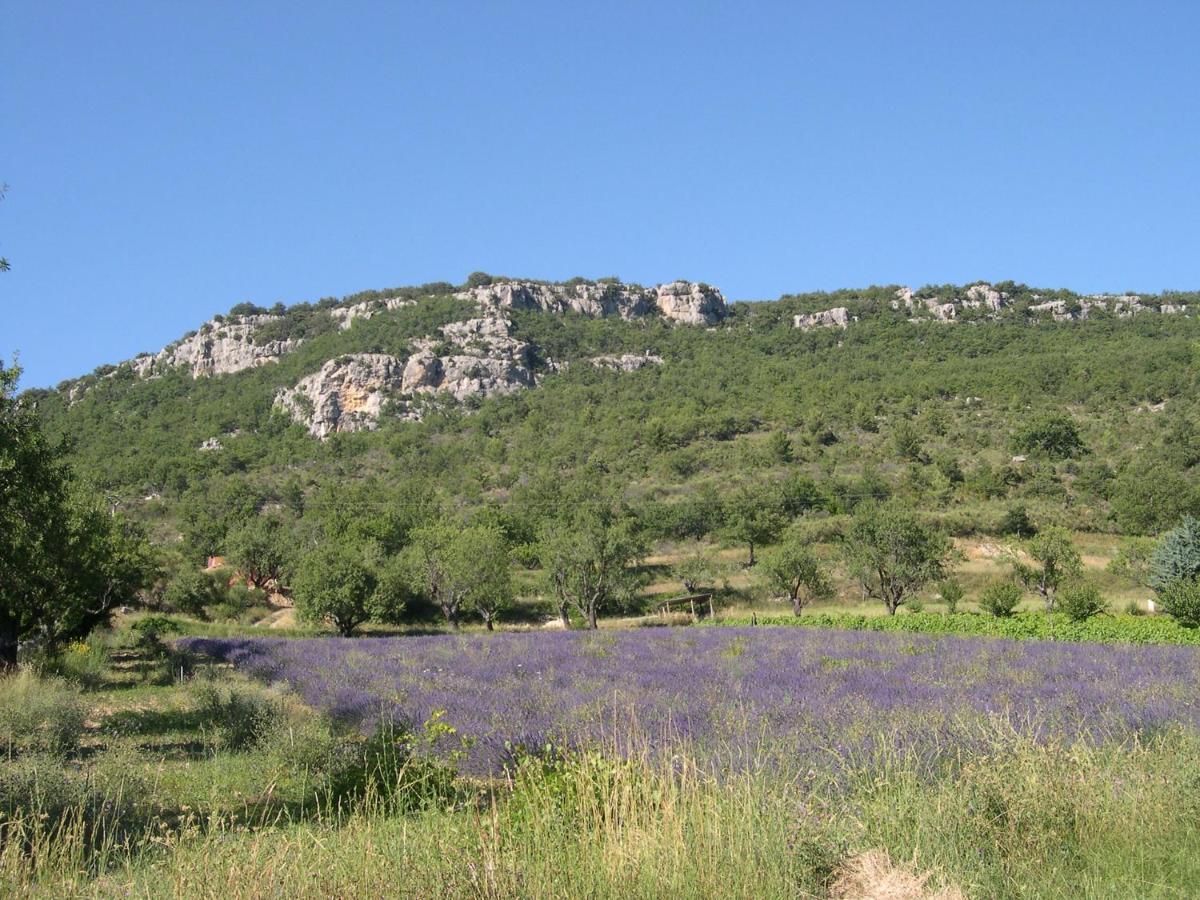 Villa Domaine De Bois Joli Buis-les-Baronnies Esterno foto
